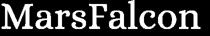 MarsFalcon logo e1735282992969